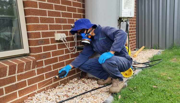 Pest Control