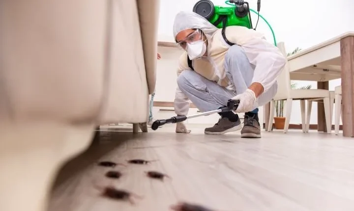 exterminator